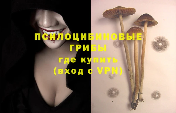 дмт Абинск
