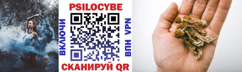 сколько стоит Орск Галлюциногенные грибы GOLDEN TEACHER